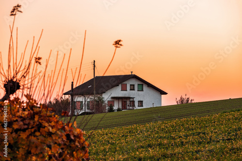 Colorful sunset with ancient house  red tree and orange sky in Cossonay  Switzerland 