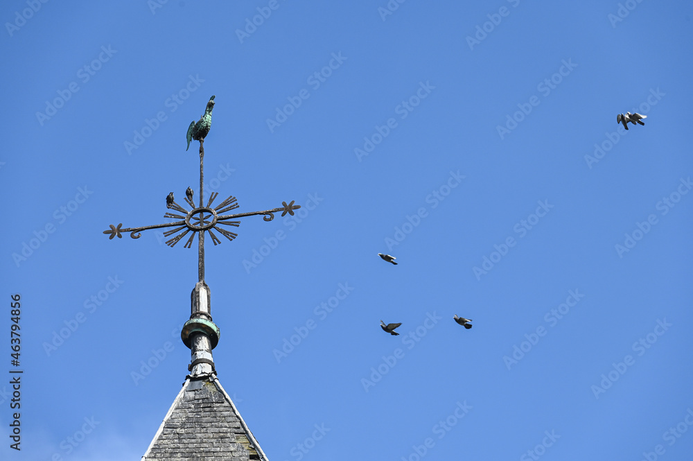 architecture eglise culture croyance catholique croix batiment patrimoine degradation renovation travaux Crisnee architecture eglise culture croyance catholique croix batiment patrimoine degradation renovation travaux Crisnee