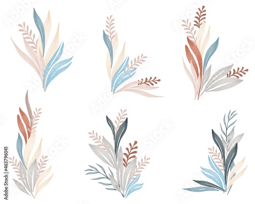 arrangement of pastel colors wildplant