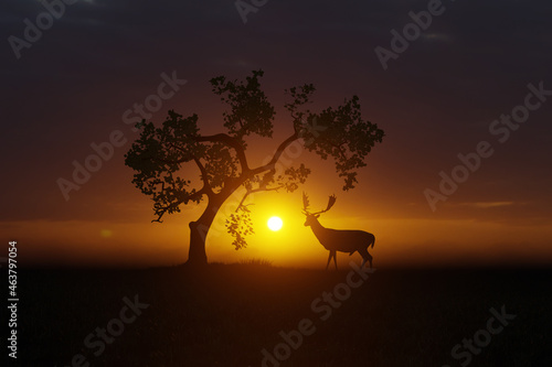 Deer at sunset in an open landscape  wildlife and nature. 3D Illustration