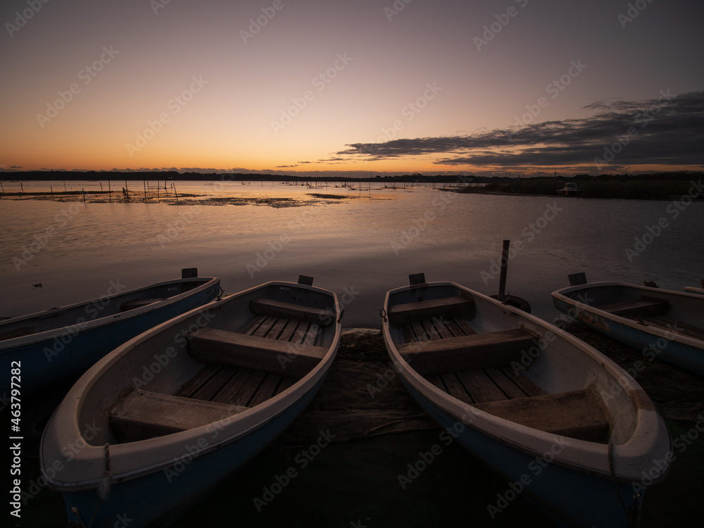 Naklejka premium 印旛沼の夜明け 10月