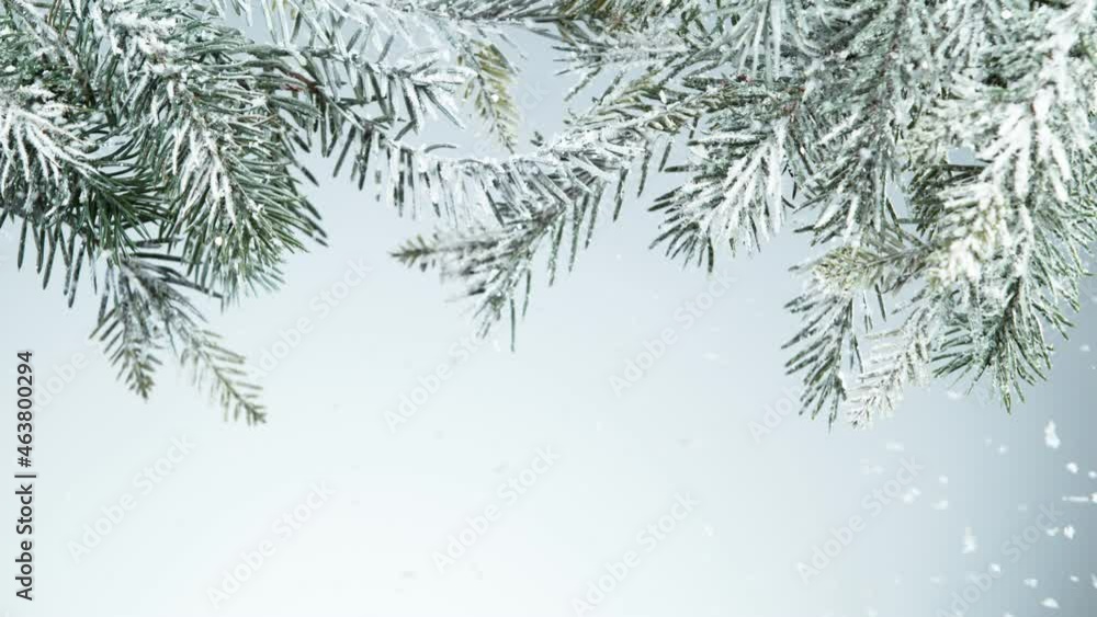 Super slow motion of falling snow with fir branch decoration. Filmed on high speed cinema camera, 1000 fps. Super slow motion of falling snow with fir branch decoration. Filmed on high speed cinema camera, 1000 fps.