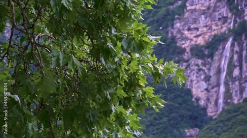 The Sardagna waterfall starts from the inhabited center of Sardagna, reaches the valley near the district of San Nicolò di Ravina and then to Trento. Trento, autonomous province of Trento, Trentino-Al photo