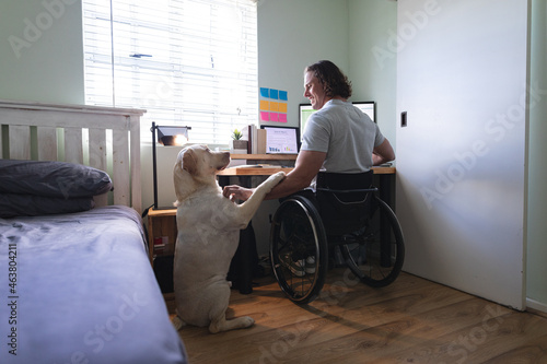 Caucasian disabled man sitting on wheelchair touching his dog while using laptop working from home photo