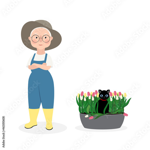 Cute elderly woman in overalls and hat has her arms crossed over her chest and is angry at her pet black cat. Cat broke tulips in flower bed. Vector stock hand-drawn illustration isolated on white