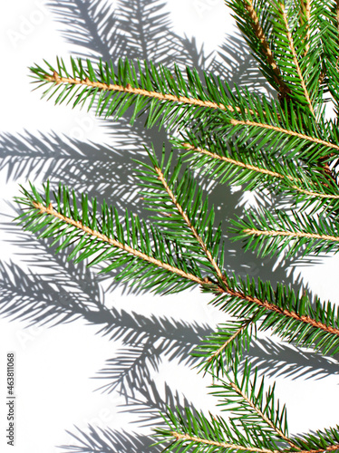 Branches of fir on the bright white background. Concept Christmas or New Year greeting card close up. 