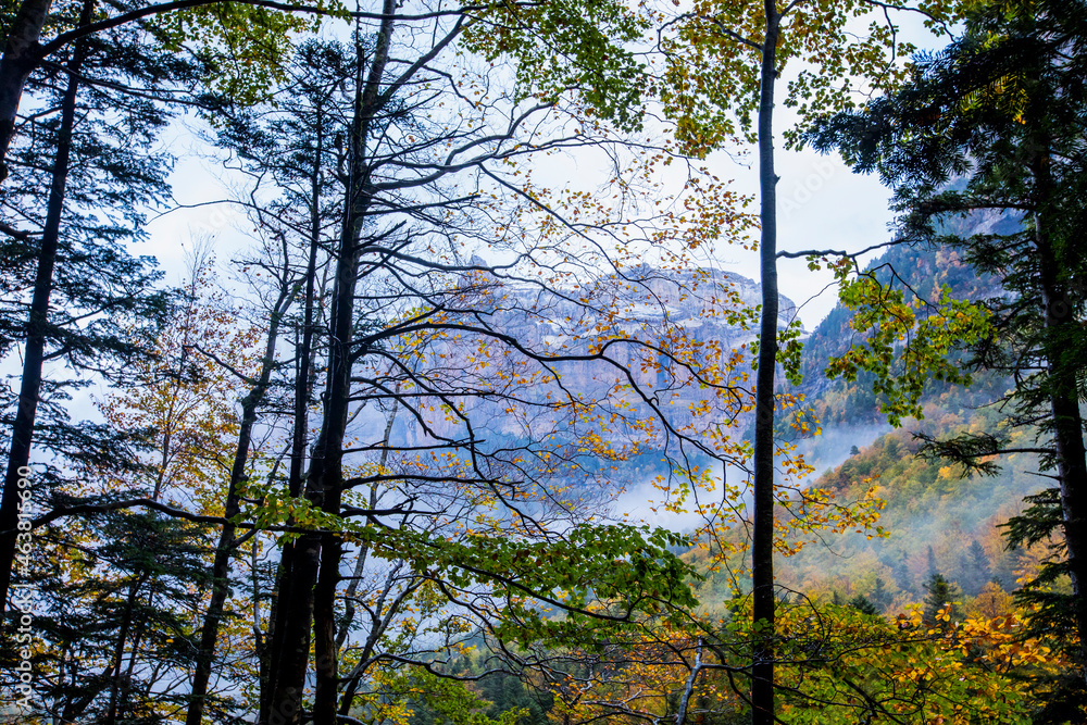 Fototapeta premium Autumn in Ordesa and Monte Perdido National Park, Spain