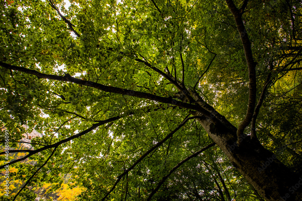 Autumn in Ordesa and Monte Perdido National Park, Spain Autumn in Ordesa and Monte Perdido National Park, Spain
