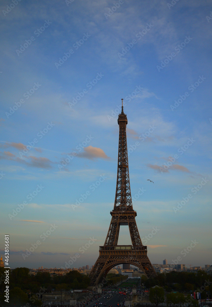 the eiffel tower in france