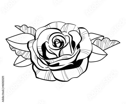 rose noir et blanc graphique vectorisée