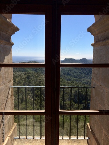 view from the window of a house