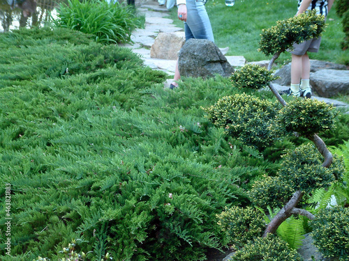Asian park in Europe. 
Beautiful, incredibly refined and arranged in the Asian style garden. Full of greenery, stones and water. With a gentle hum, it calms our nerves.