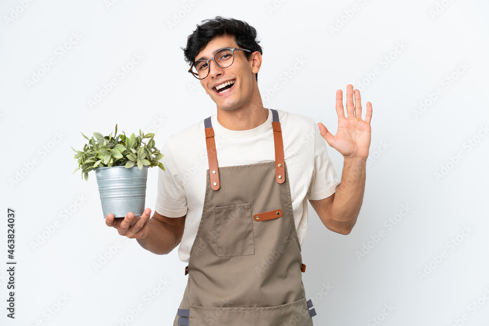 Gardener Argentinian man holding a plant isolated on white background saluting with hand with happy expression Gardener Argentinian man holding a plant isolated on white background saluting with hand with happy expression