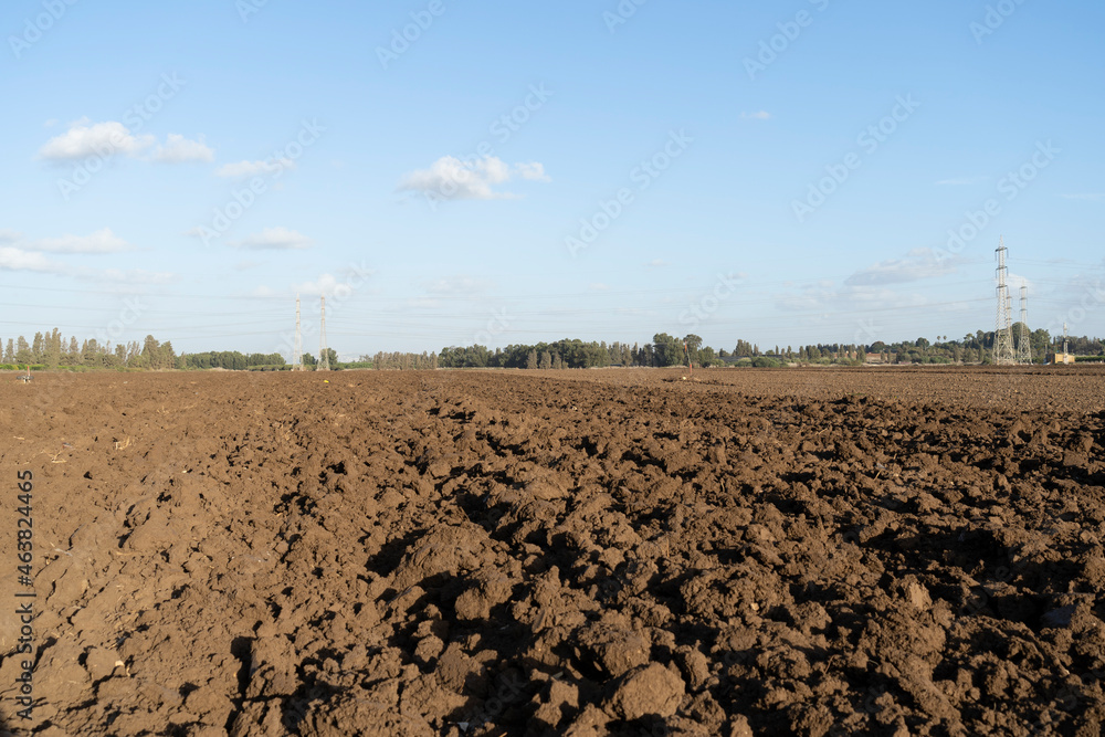 A plowed field is ready for sowing A plowed field is ready for sowing