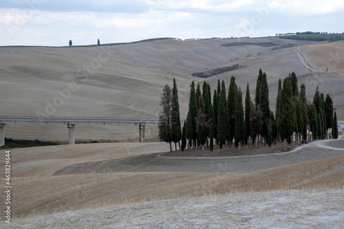 San Quirico d' Orcia (SI), Italy - August 05, 2021: Cypress row, better known as cipressini, near San Quirico d' Orcia, Tuscany, Italy photo