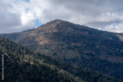 Belezma National park in the Aures region in Batna, Algeria photo