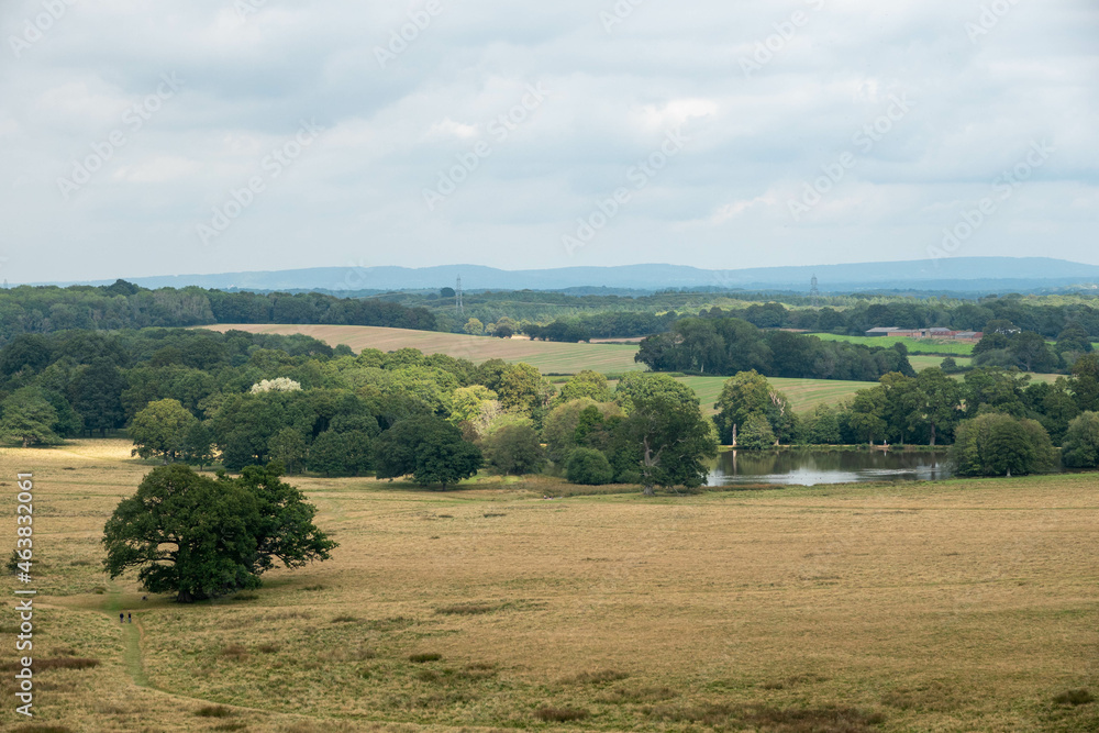 view across Petworth Park West Sussex England