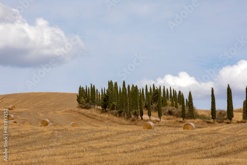 Val d' Orcia (SI), Italy - August 05, 2021: Typical landscape in val d' Orcia, Tuscany, Italy photo