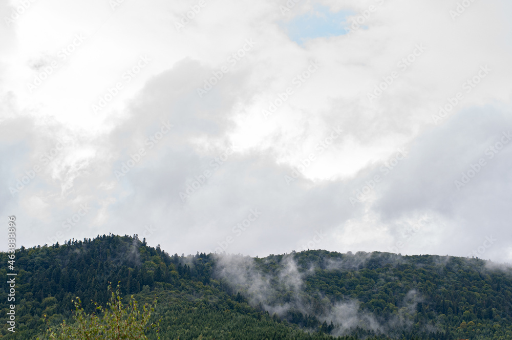 Thick white clouds over mountains covered with green forest. green trees in a small white fog nature outdoors.