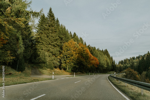 Grüne Wege: Durch Wälder und Felder entlang der Asphaltstraße