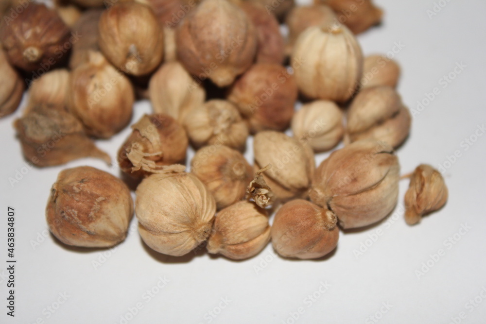 Dried Herbs,Amomum krervanh Pierre,Siam Cardamom, Best Cardamom, Clustered Cardamom, Camphor Seed,Zingiberaceae Dried Herbs,Amomum krervanh Pierre,Siam Cardamom, Best Cardamom, Clustered Cardamom, Camphor Seed,Zingiberaceae