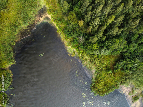 Aerial view of summer landscape with river and forest