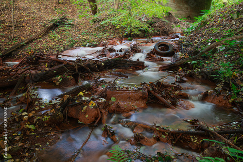 Wartki, spieniony strumień płynący przez las.