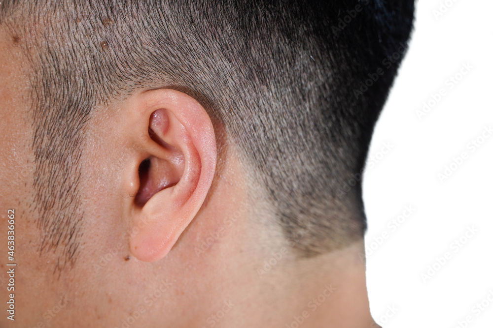 Obraz premium Asian male ears close-up on white background