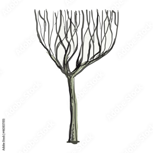 A tree of unusual shape on a white background.