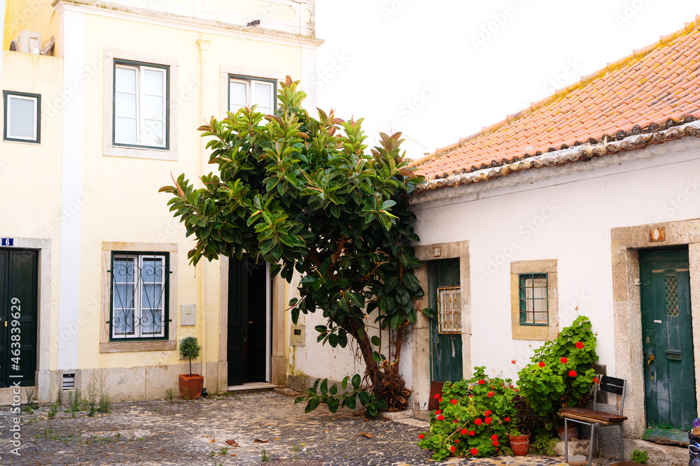 Traditional house with a cobblestone courtyard with plants and tree