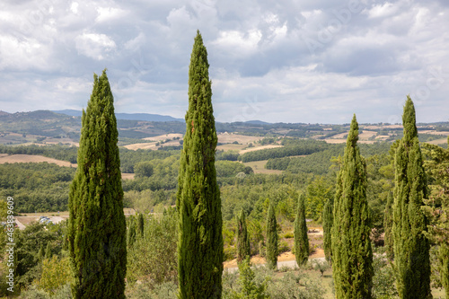 Val d  Orcia  SI   Italy - August 05  2021  Typical landscape in val d  Orcia  Tuscany  Italy