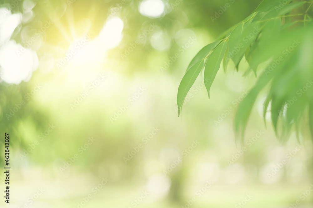 Blur nature green park with sun light abstract background. Blur nature green park with sun light abstract background.