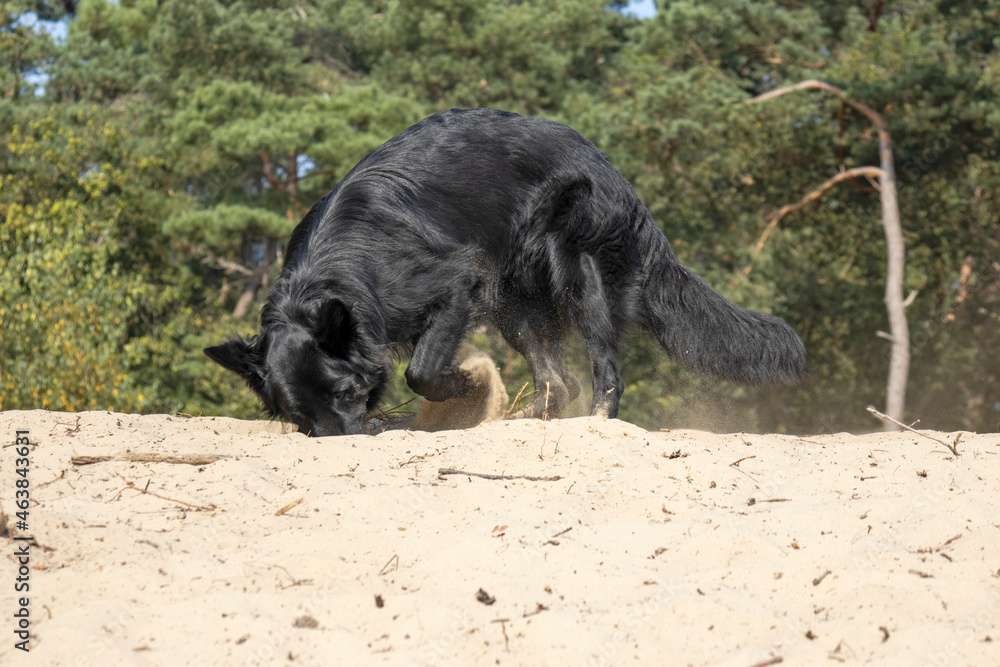 Zand verplaatsen