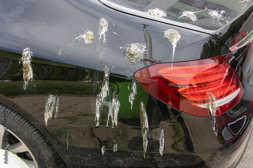 Photography The hood of a luxury car is dirty from bird droppings.