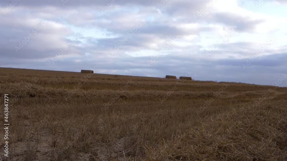 Farmland with bales of hay on the horizon Farmland with bales of hay on the horizon