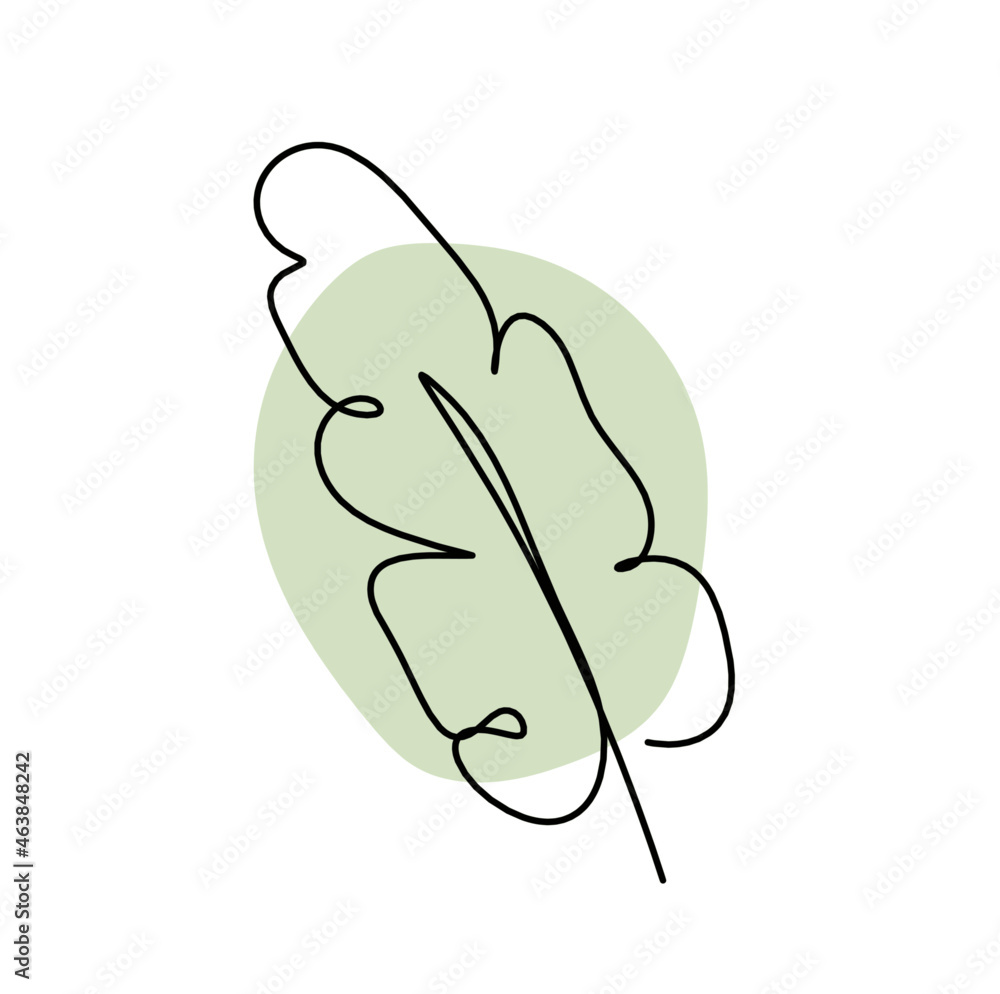 Abstract color leaf as line drawing on the white background. Vector