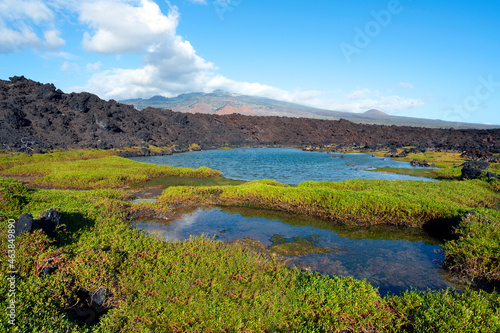 Maui Volcanic Rocks at the Ahihi-Kinau Nature Reserve
