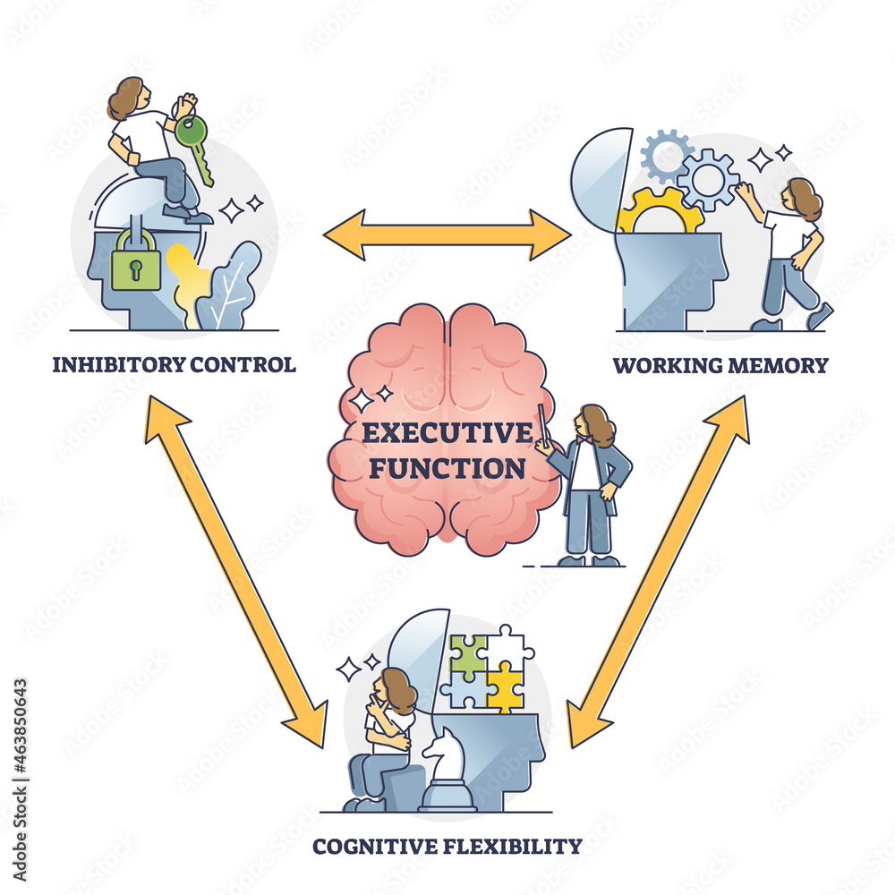 Executive function or cognitive control, vector illustration outline diagram. Brain thought process model of the working memory, cognitive flexibility and inhibitory control. Neuroscience research. - obrazy, fototapety, plakaty 