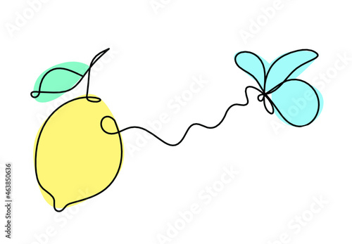 Color drawing line lemon on the white background. Vector