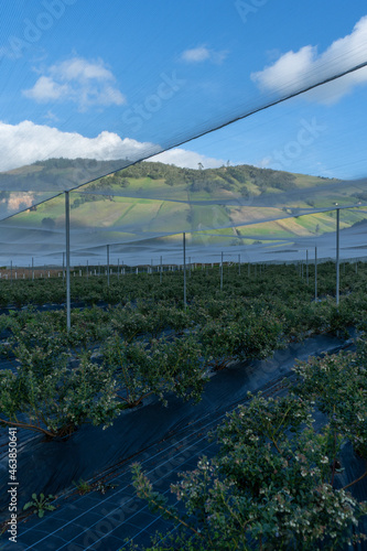 Bluish landscape in Tabio Cundinamarca photo