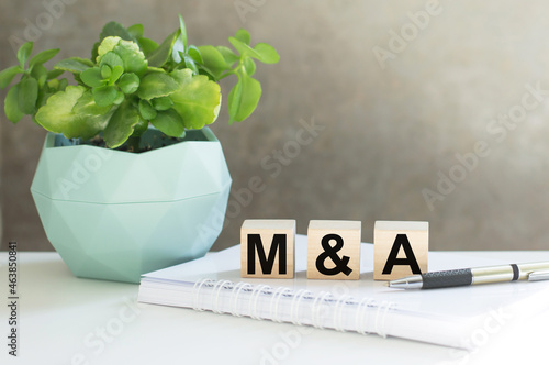 The letters M and S written on wood cubes, which lie on a notebook next to a pen and a flower pot
