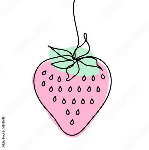 Drawing line of color strawberry on the white background. Vector