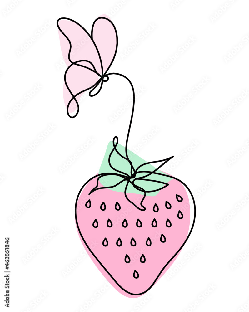 Fototapeta premium Drawing line of color strawberry on the white background. Vector