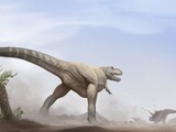 Tyranosaurus Rex chasing a herd of Triceratops
