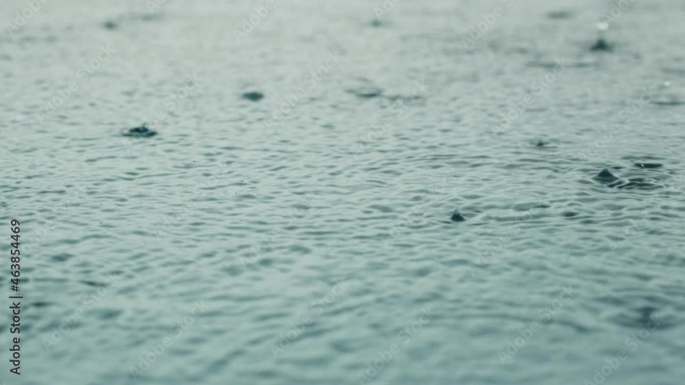 Drops of rain fell on the large puddle, strong ripples, raindrops close-up in slow motion. The rain falls into the water. Floods are the rainy season and heavy rains. Drops of rain fell on the large puddle, strong ripples, raindrops close-up in slow motion. The rain falls into the water. Floods are the rainy season and heavy rains.