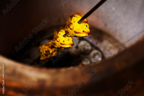 Fish skewer in Tandoori oven photo