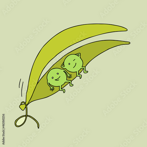 Two peas in a pod. Concept of similarity. Metaphorical idiom.
