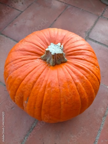 
A pumpkin with the typical Halloween shape, orange in color, close-up from above.