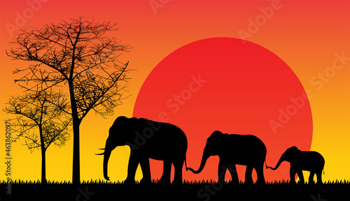 sunset silhouette animal vector