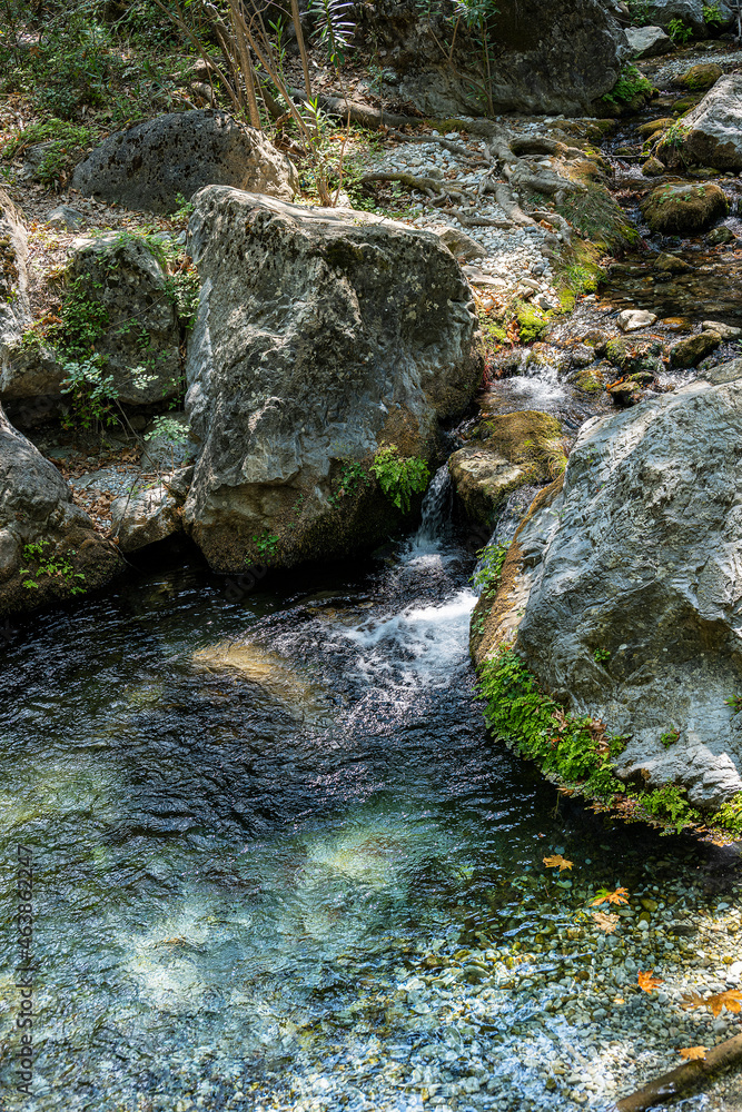 Bach im Tal unterhalb von Tripi, Knakiona, bei Sparta, Peloponnes, Griechenland Bach im Tal unterhalb von Tripi, Knakiona, bei Sparta, Peloponnes, Griechenland